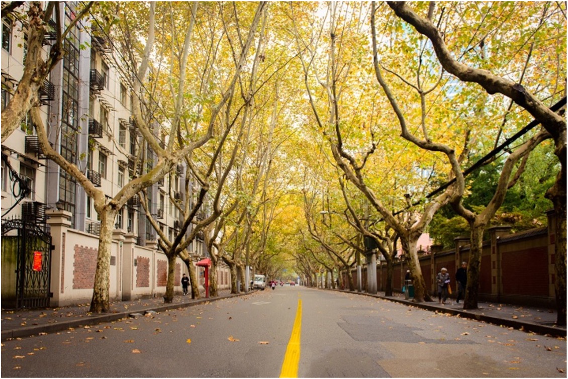 Yuyuan Road